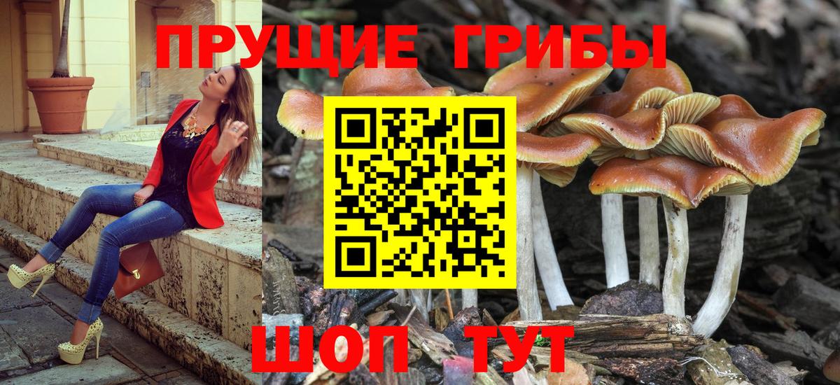 Галлюциногенные грибы прущие грибы  Вход с VPN  Джанкой 
